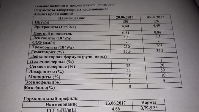 Диагностика плюс елец результаты. ПЦР Андрофлор. Андрофлор расшифровка анализа. Андрофлор расшифровка анализа у мужчин. Андрофлор расшифровка результатов у мужчин норма.