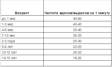 Норма частоты стула у взрослых в сутки