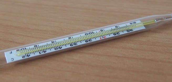 Базальная температура: как измерить правильно?