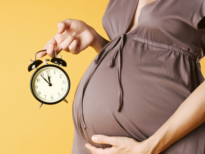 Выплаты при беременности и родах 2019