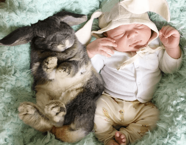Малыш Флинн и его кролики стали новыми звёздами Instagram