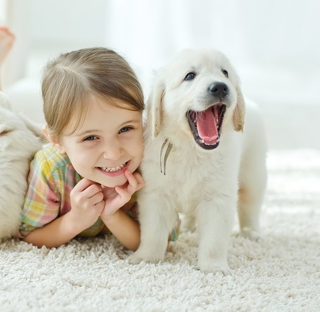 5 пород собак, которые любят детей